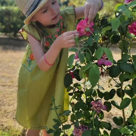 Jenny's Garden *