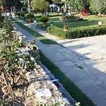 Jenny's Garden *