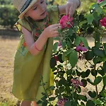 Jenny's Garden *